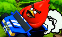 Poultry ACE Downhill