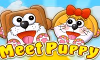Meet Puppy