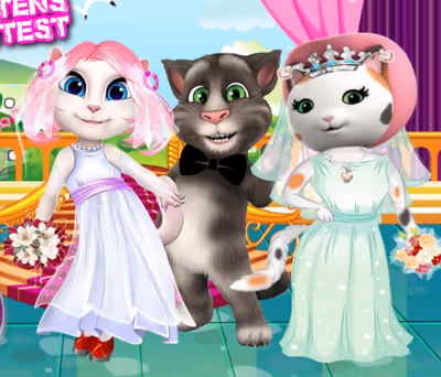 White Kittens Bride Contest