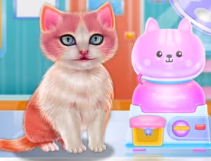 Kitty Dental Caring