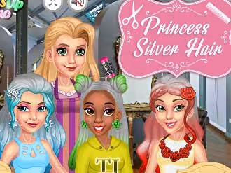 Princess Silver Hairstyles