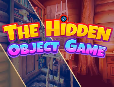 The Hidden Objects Game