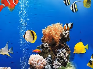 Sea Underwater Difference