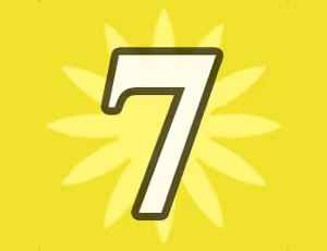 Number
