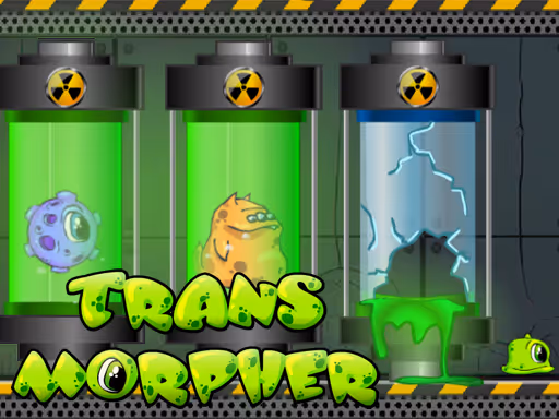 Transmorpher 1