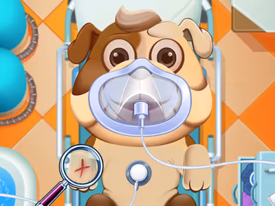 Animal Daycare