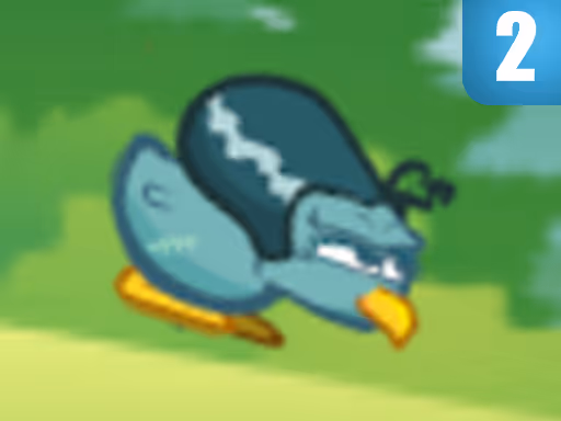 Kiwi Adventure 2