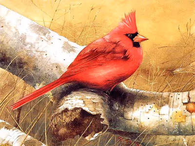 Art Birds Puzzle