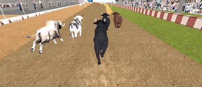 Angry Bull Racing