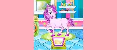 Pony Pet Salon