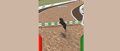 Dog Racing Simulator