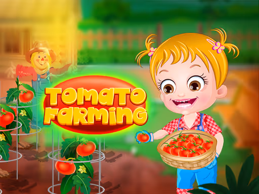 Baby Hazel Tomato Farming