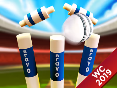 Cricket World Cup Game 2019 Mini Ground Cricke