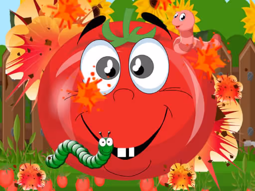 Tomato Explosion