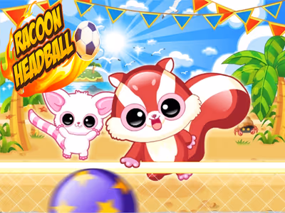 Racoon Headball