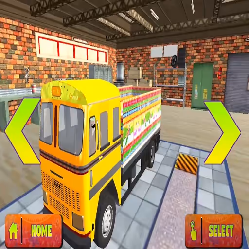 Real Indian Truck Cargo Truck Transport