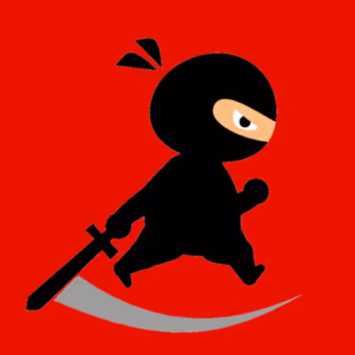Mr Ninja Fighter