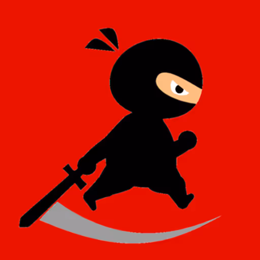 Mr Ninja Fighter