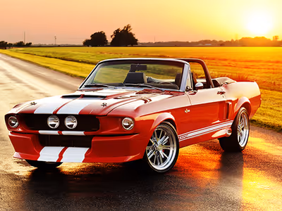 Fancy Mustang Differences