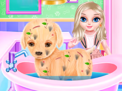 Baby Elsa Puppy Surgery