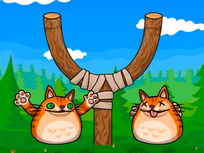 Shot the Angry Cat