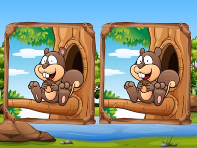 Jungle 5 Diffs