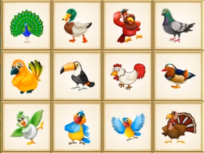 Birds Board Puzzles