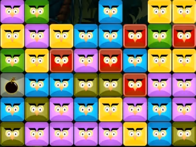 Angry Owls