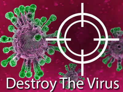 Destroy The Virus