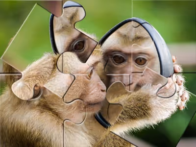 Chimpanzee Jigsaw