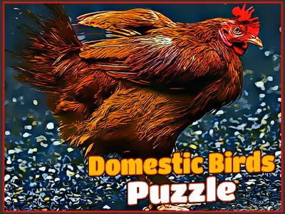 Domestic Birds Puzzle
