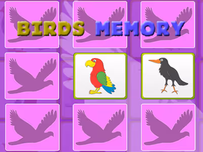 Kids Memory with Birds