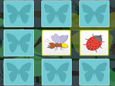 Kids Memory with Insects