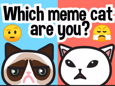 Which meme cat are you?