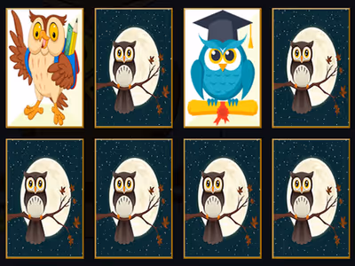 Cute Owl Memory