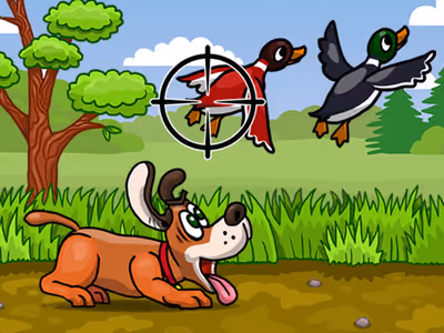 Shoot the Duck