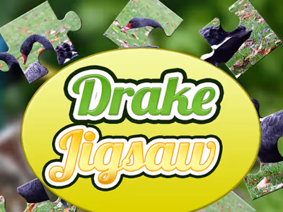 Drake Jigsaw