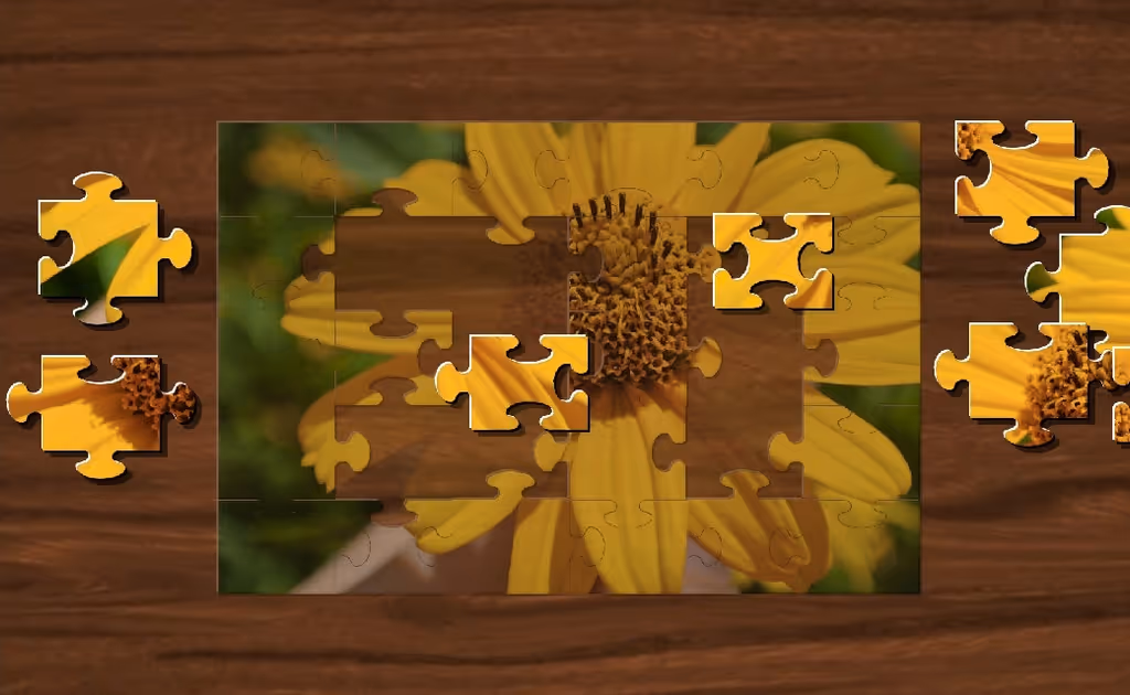Jigsaw Puzzle Game