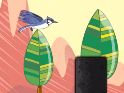 Bird Flying