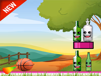 Bottle Shooting Game