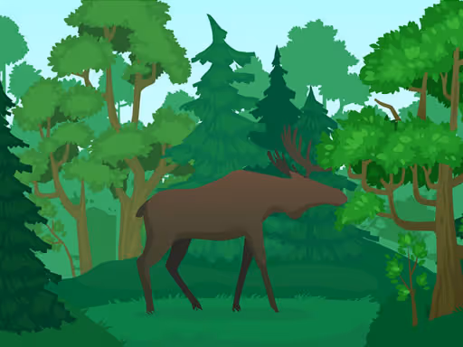 Wild Animals Coloring