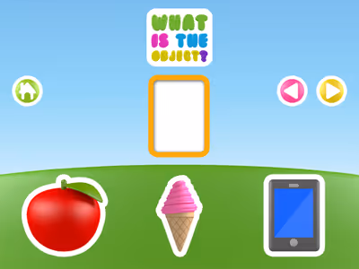What the objects
