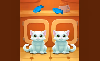 Nom Nom Kitties