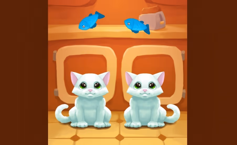 Nom Nom Kitties