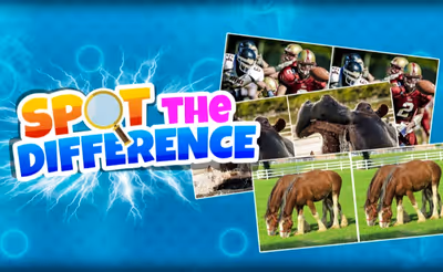 Spot The Difference Game