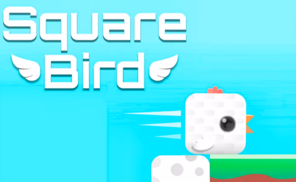 Square Bird