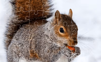 Jigsaw Puzzle XMas