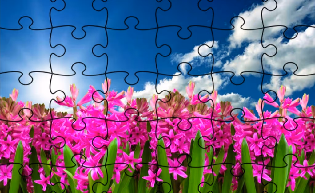 Jigsaw Puzzle - Flowers