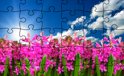 Jigsaw Puzzle - Flowers