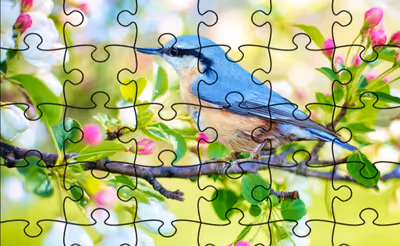Jigsaw Puzzle - Spring